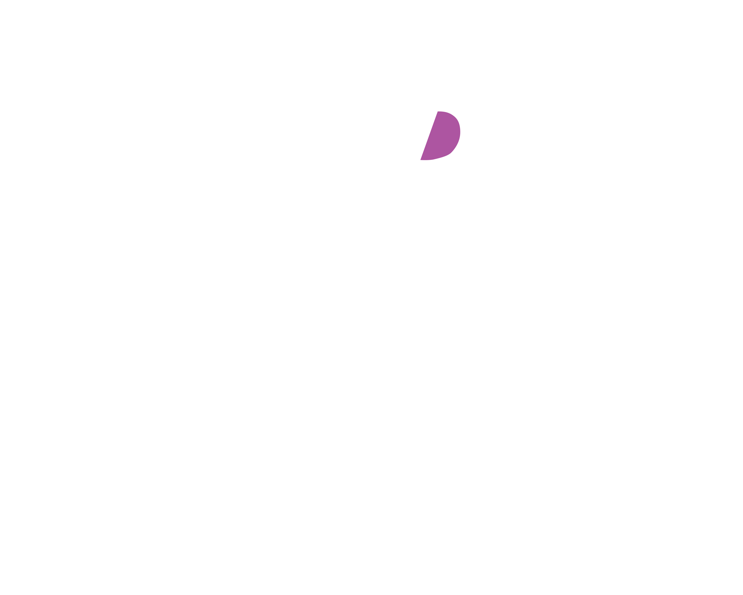 Posey School of Dance